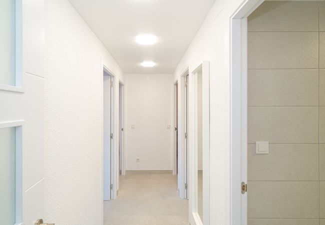 Apartment in Torrevieja - Liria Apartment in Torrevieja - Liria