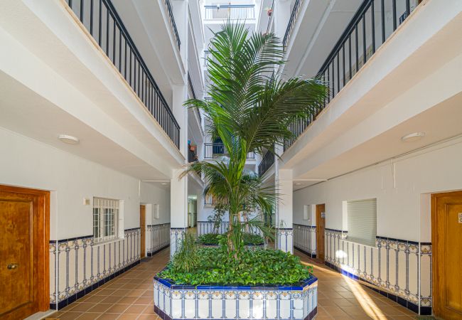 Apartment in Torrevieja - Liria Apartment in Torrevieja - Liria