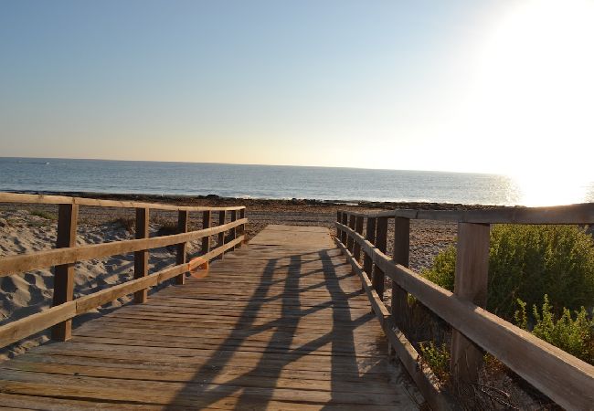 Apartment in San Miguel de Salinas - Coco Apartment in San Miguel de Salinas - Coco