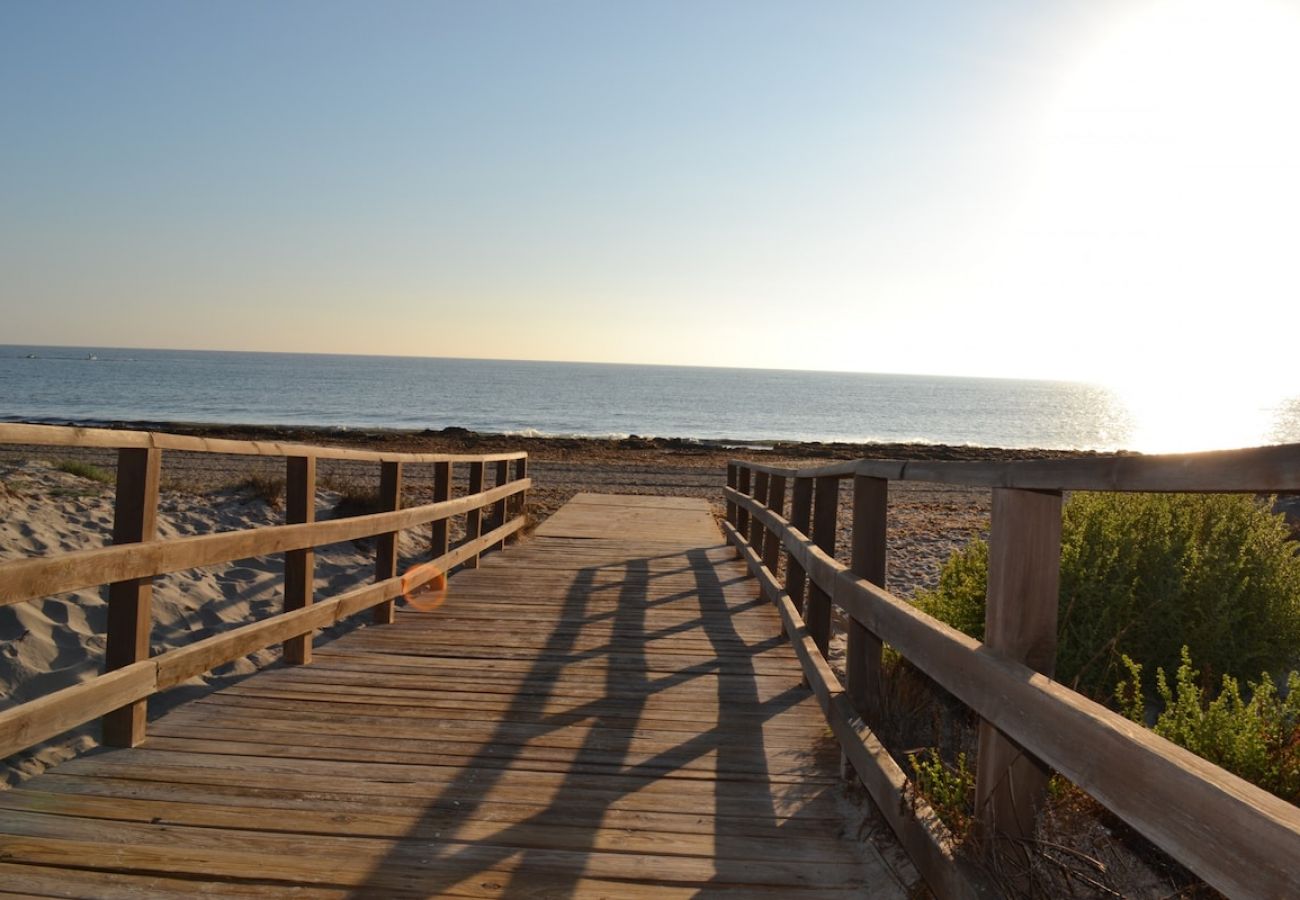 Apartment in San Miguel de Salinas - Coco