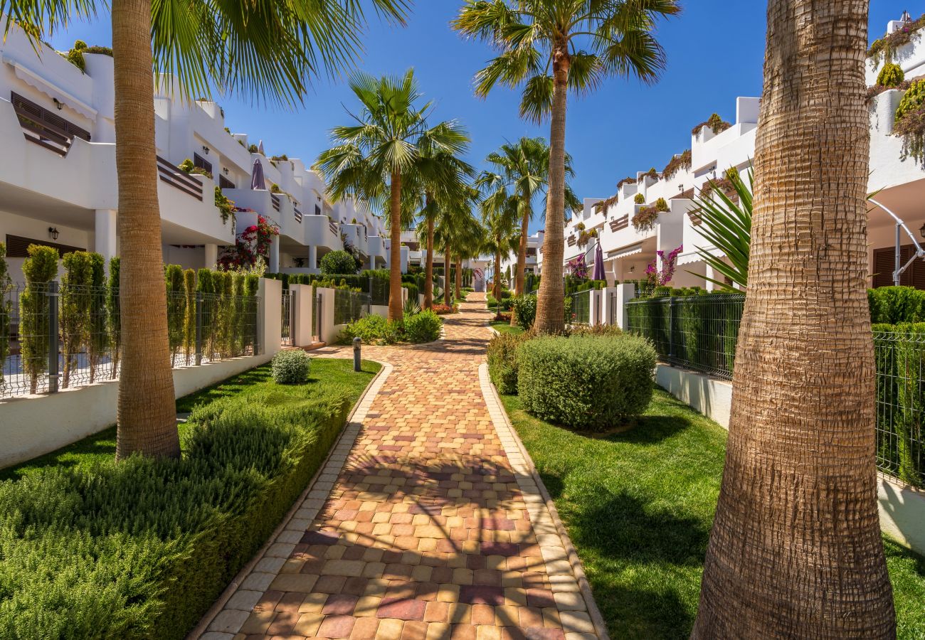 Apartment in San Juan de los terreros - Mango