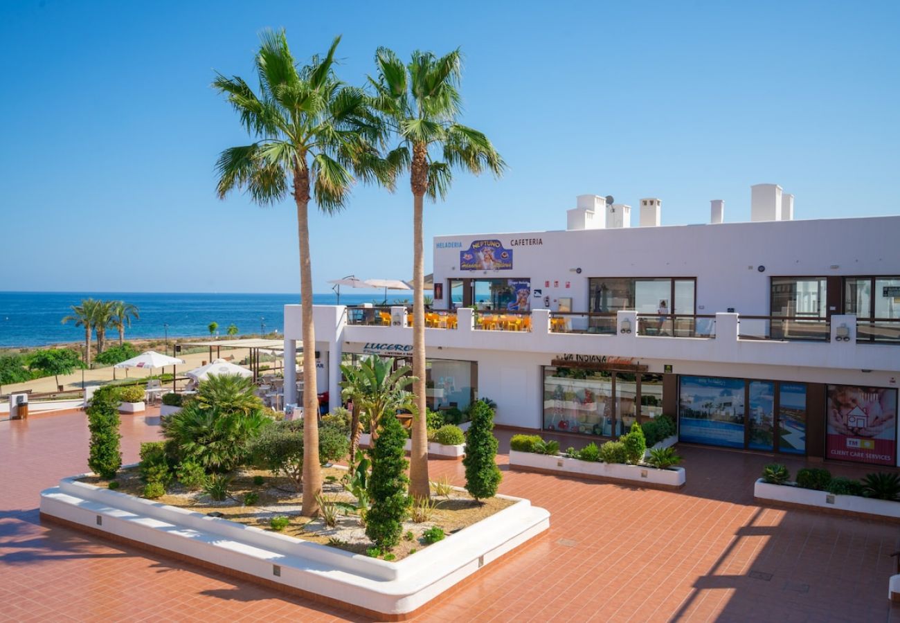 Apartment in San Juan de los terreros - Pimienta