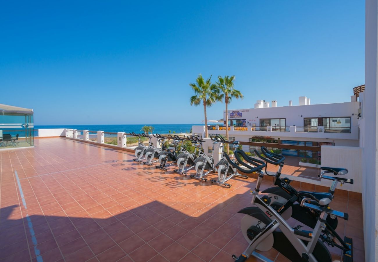 Apartment in San Juan de los terreros - Pimienta