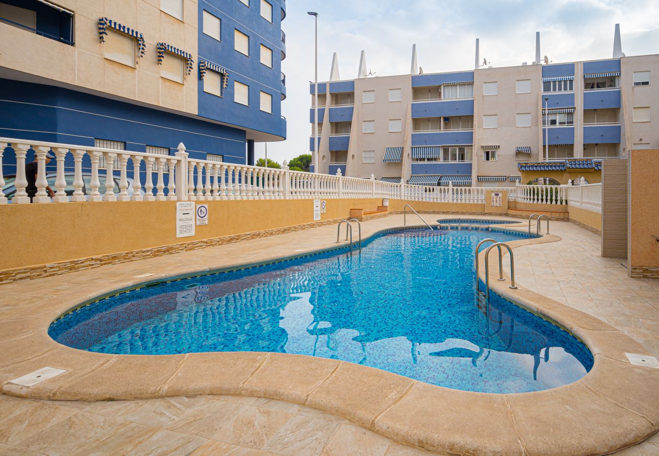 Apartment in La Mata - Indiana