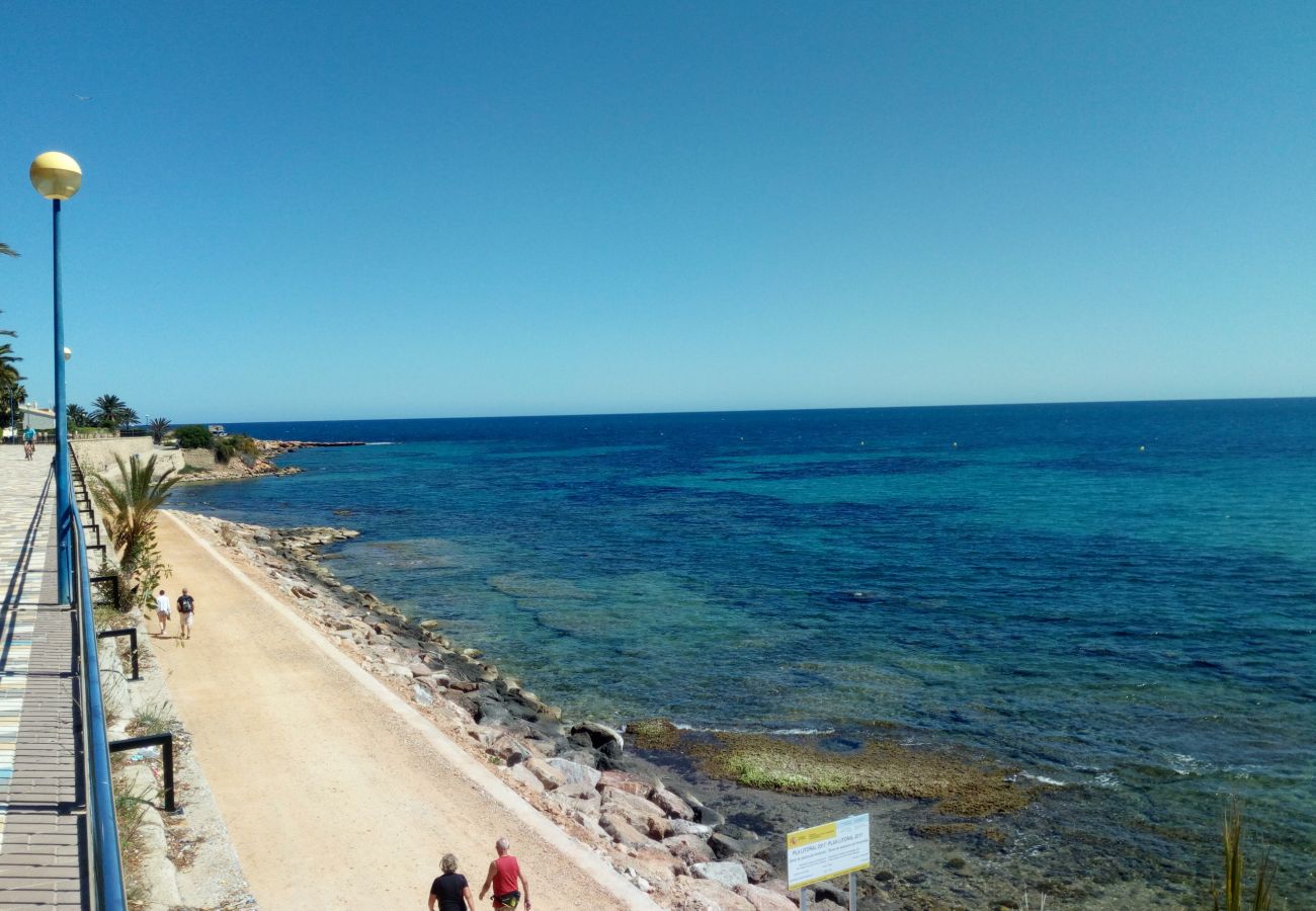 Apartment in La Mata - Indiana