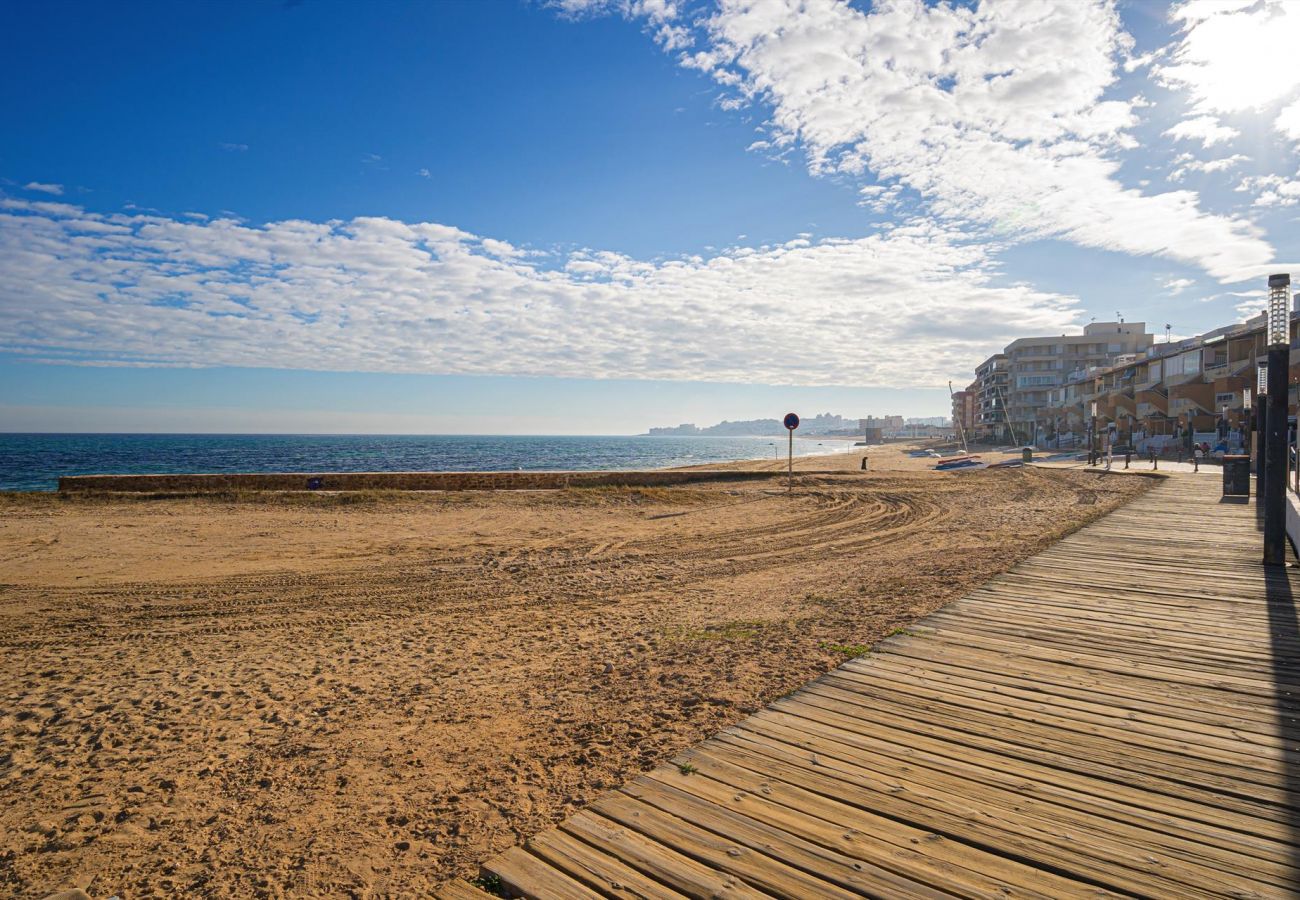 Apartment in La Mata - Indiana