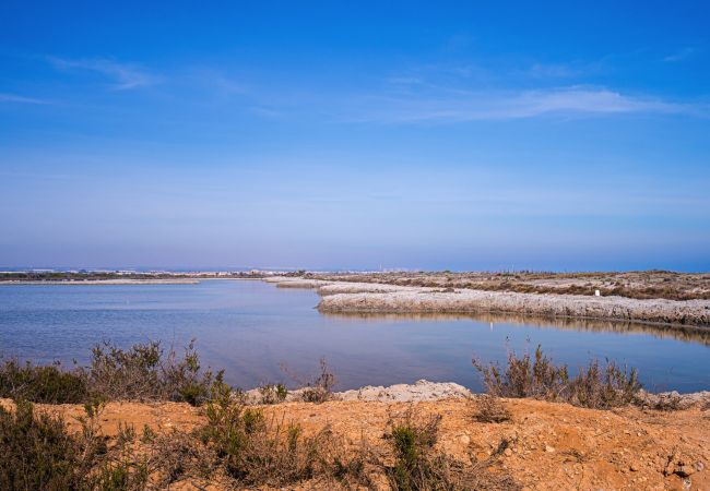 Apartment in Torrevieja - Balcones de la Laguna Apartment in Torrevieja - Balcones de la Laguna