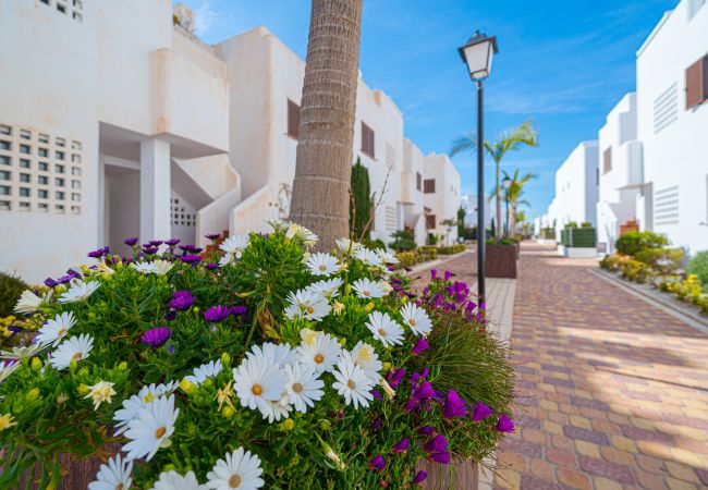 Apartment in San Juan de los terreros - Orquidea Apartment in San Juan de los terreros - Orquidea