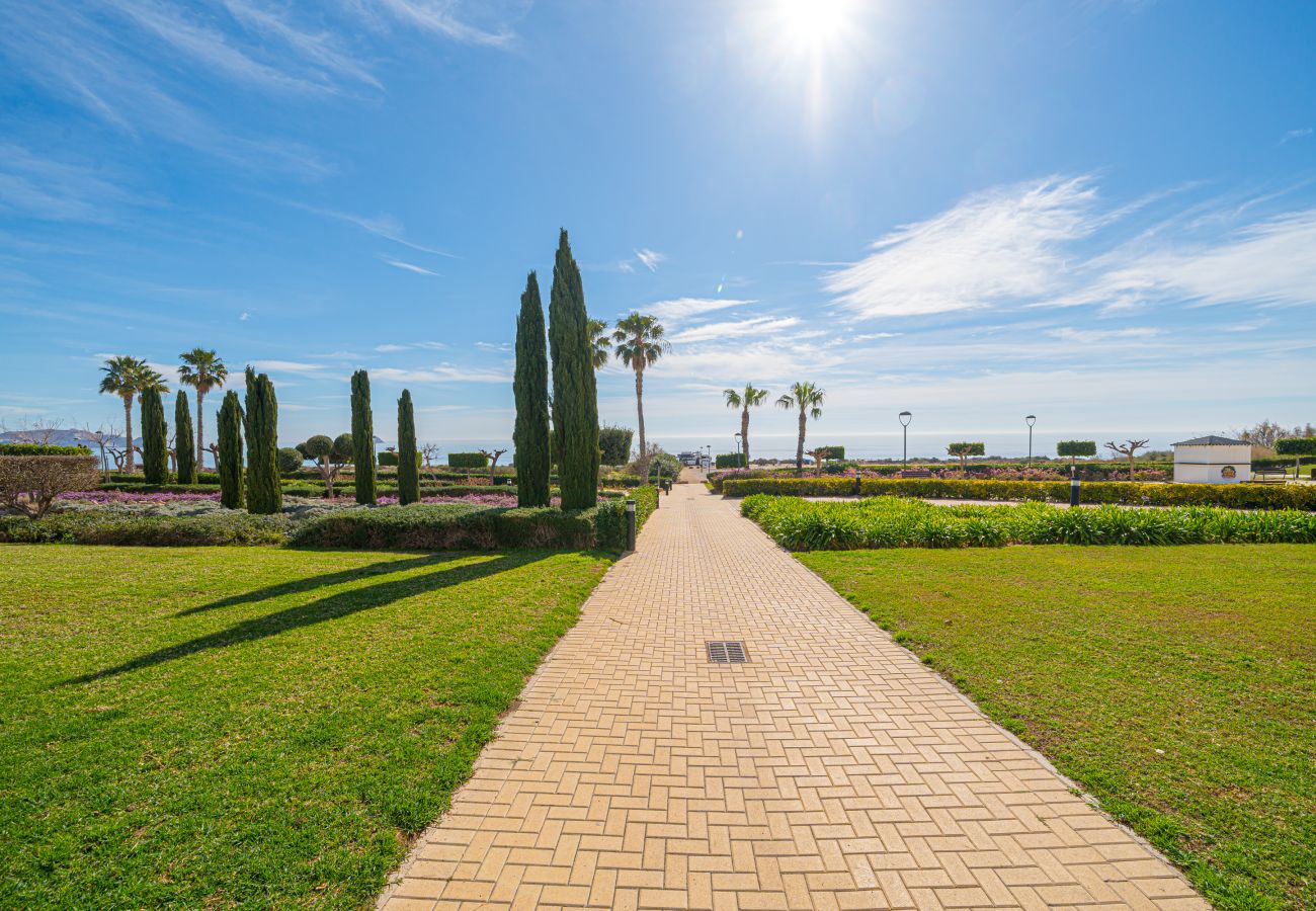 Apartment in San Juan de los terreros - Orquidea