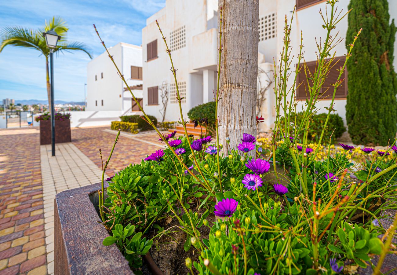 Apartment in San Juan de los terreros - Orquidea