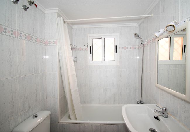 Apartment in La Mata - Rainbow Apartment in La Mata - Rainbow
