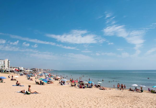 Apartment in La Mata - Rainbow Apartment in La Mata - Rainbow