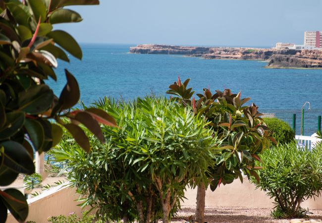 Apartment in La Mata - Rainbow Apartment in La Mata - Rainbow