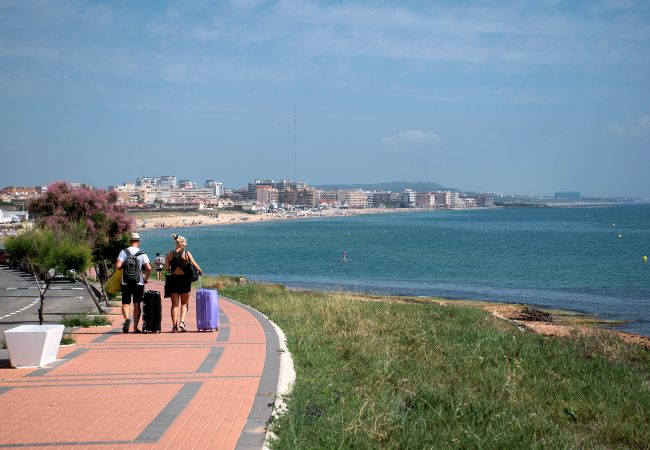 Apartment in La Mata - Rainbow Apartment in La Mata - Rainbow