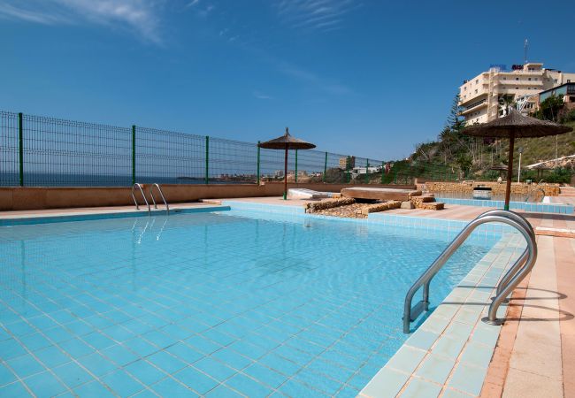 Apartment in La Mata - Rainbow Apartment in La Mata - Rainbow