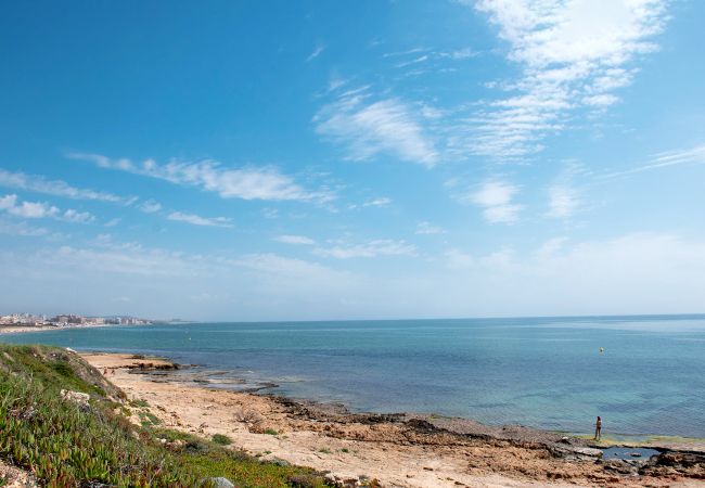 Apartment in La Mata - Rainbow Apartment in La Mata - Rainbow