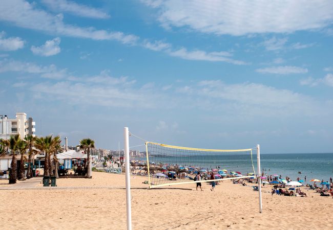 Apartment in La Mata - Rainbow Apartment in La Mata - Rainbow