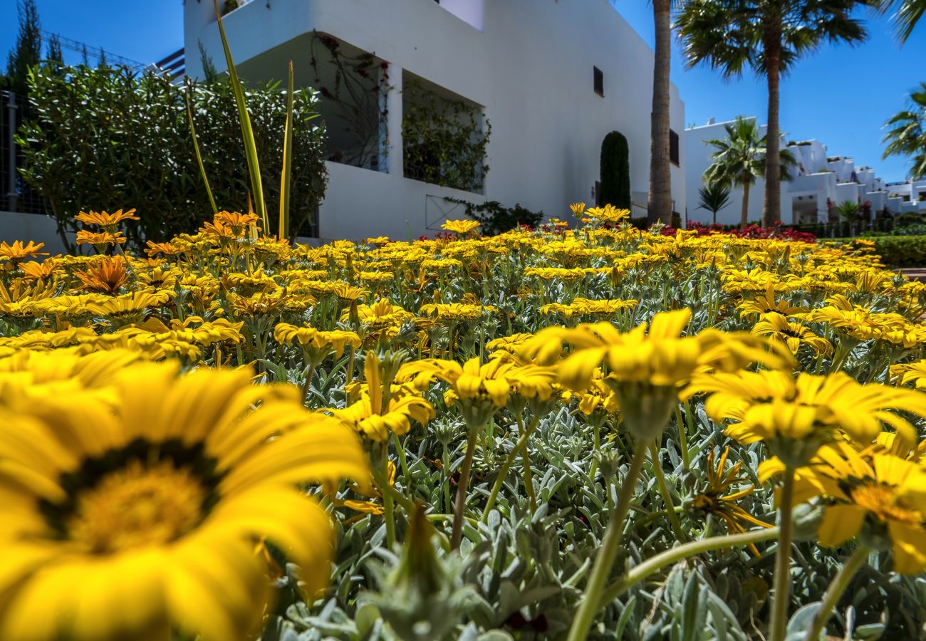 Apartment in San Juan de los terreros - Casa Musica