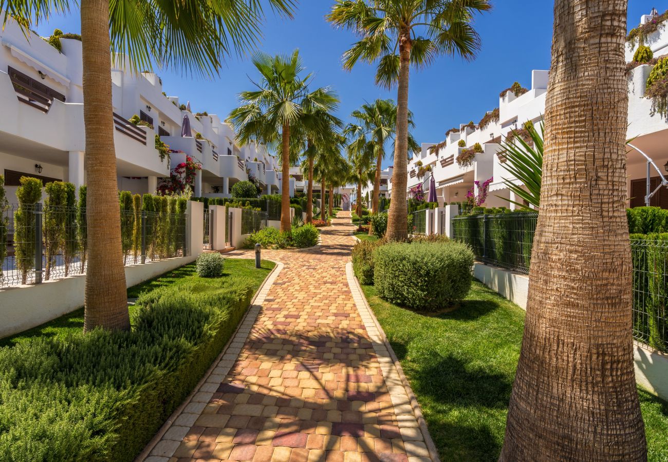 Apartment in San Juan de los terreros - Casa Musica