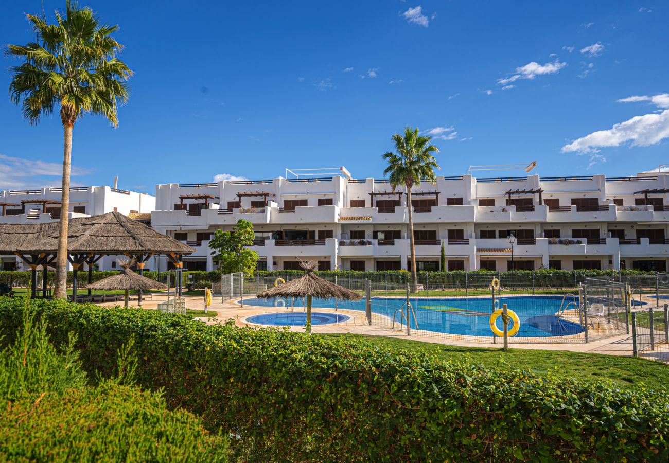 Apartment in San Juan de los terreros - Rumba