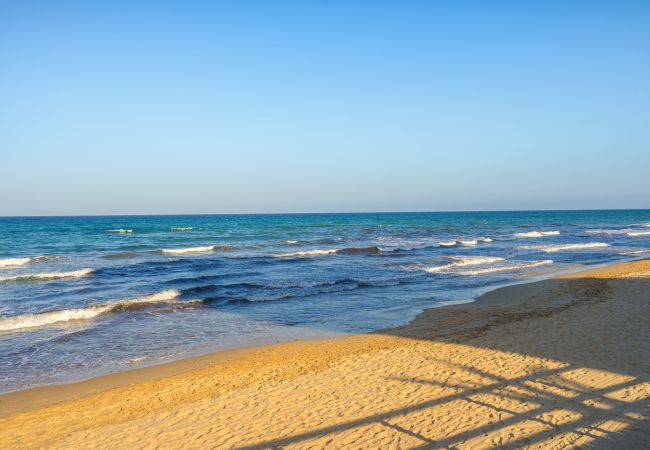 Apartment in Arenales del Sol - Cocoon Apartment in Arenales del Sol - Cocoon