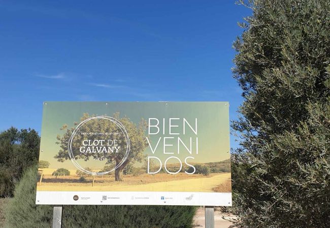 Apartment in Arenales del Sol - Cocoon Apartment in Arenales del Sol - Cocoon