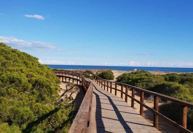 Apartment in Arenales del Sol - Cocoon Apartment in Arenales del Sol - Cocoon