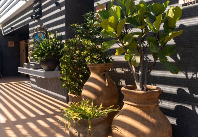 Apartment in Torrevieja - Bali Apartment in Torrevieja - Bali