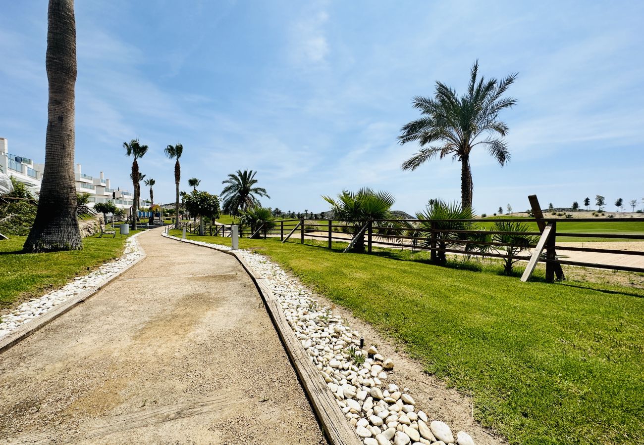 Apartment in San Juan de los terreros - Mi Sueño