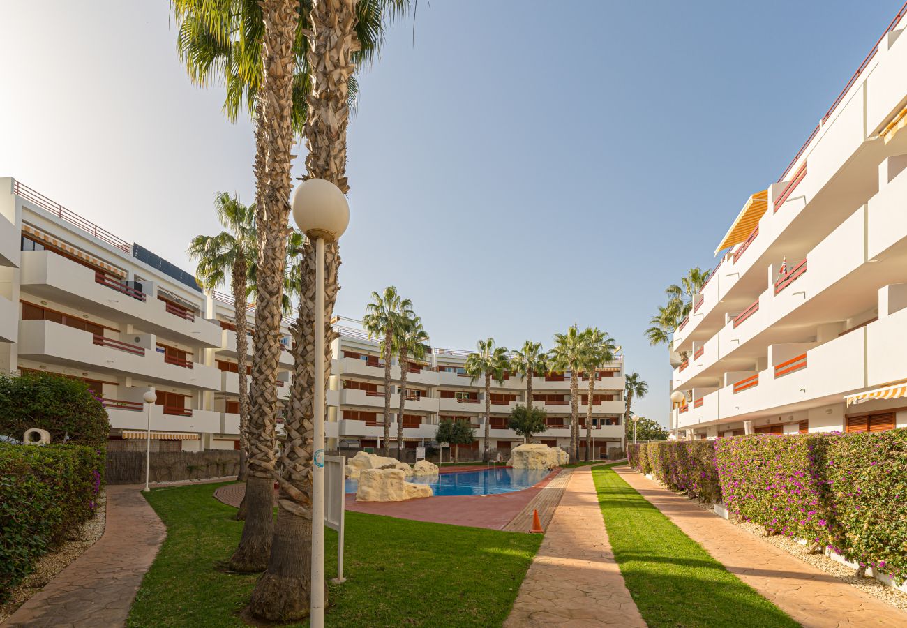 Apartment in Orihuela Costa - El Rincon