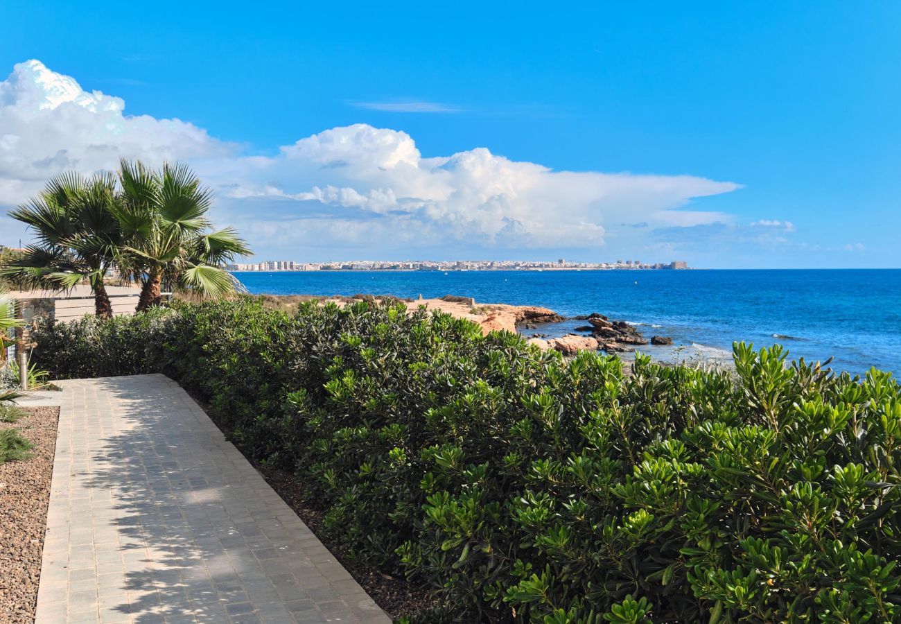 Apartment in Torrevieja - Jodeko Apartment in Torrevieja - Jodeko