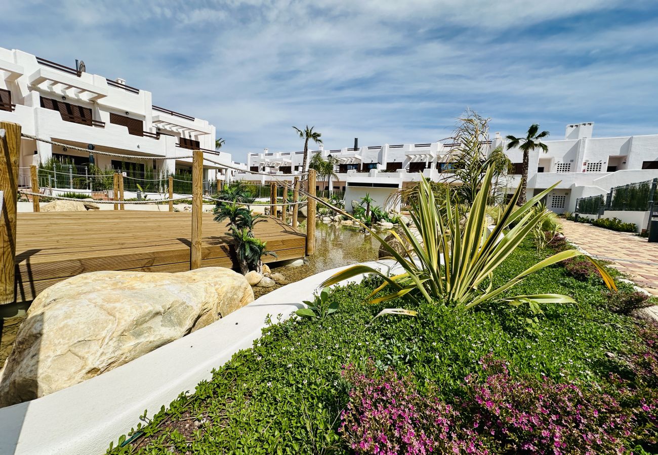Apartment in San Juan de los terreros - Jerry