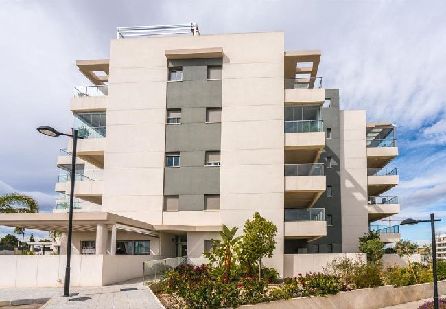 Apartamento en Orihuela Costa - Begonia Apartamento en Orihuela Costa - Begonia