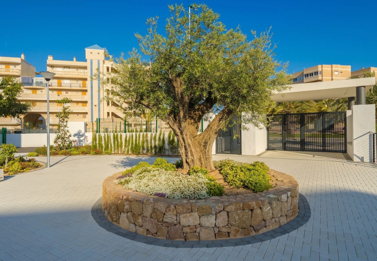 Apartamento en Arenales del Sol - Arenales