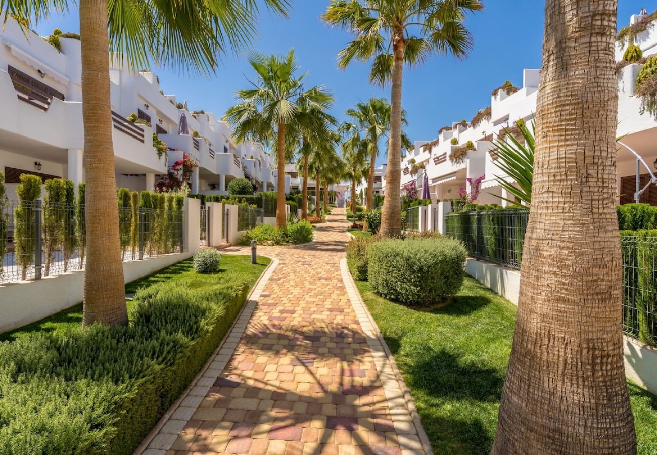 Apartamento en San Juan de los terreros - Rosa