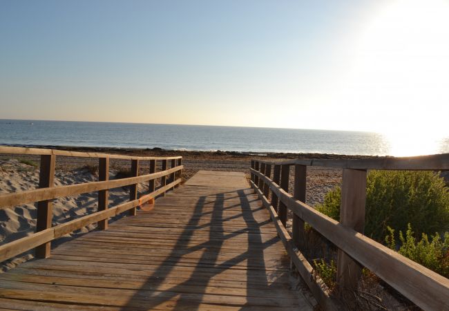 Apartamento en La Mata - Indiana Apartamento en La Mata - Indiana