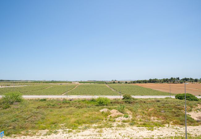 Apartamento en Orihuela - Marina Apartamento en Orihuela - Marina
