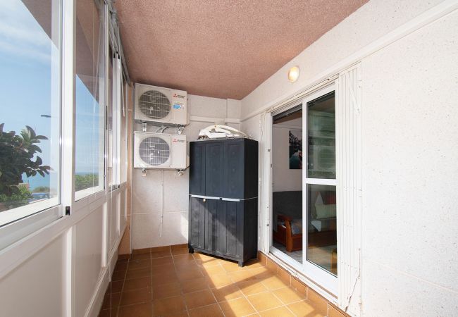 Apartamento en La Mata - Rainbow Apartamento en La Mata - Rainbow