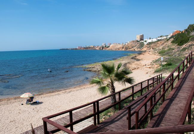 Apartamento en La Mata - Rainbow Apartamento en La Mata - Rainbow