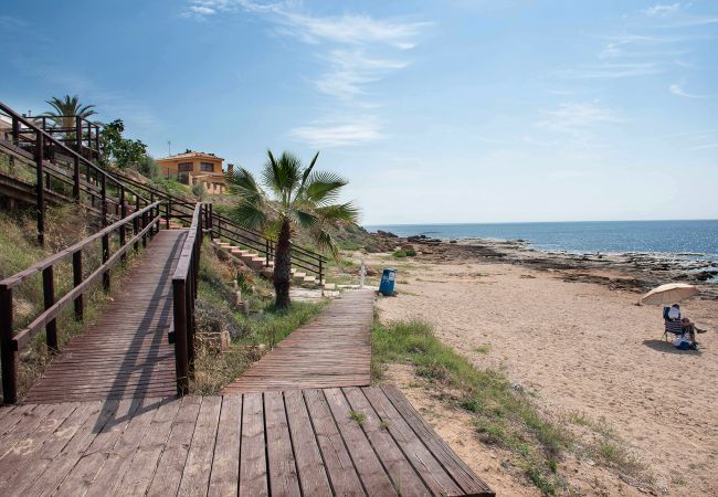 Apartamento en La Mata - Rainbow Apartamento en La Mata - Rainbow