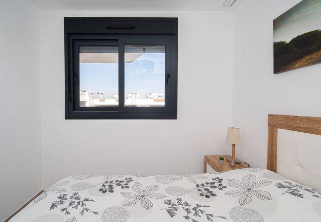 Apartamento en Arenales del Sol - Cocoon