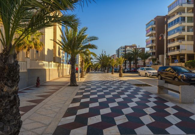 Apartamento en Arenales del Sol - Cocoon