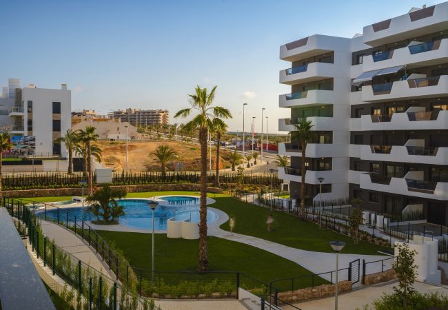 Apartamento en Arenales del Sol - Cocoon