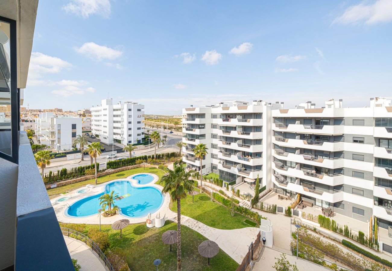 Apartamento en Arenales del Sol - Cocoon