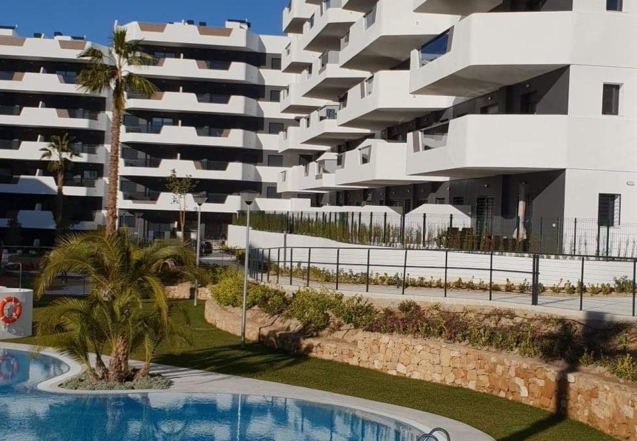 Apartamento en Arenales del Sol - Cocoon