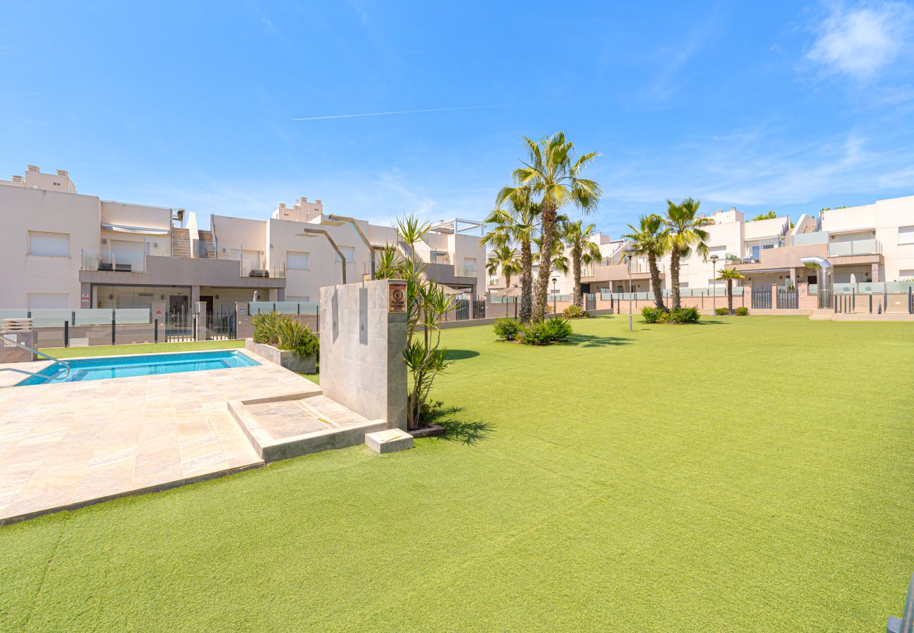 Apartamento en Torrevieja - Mariposa