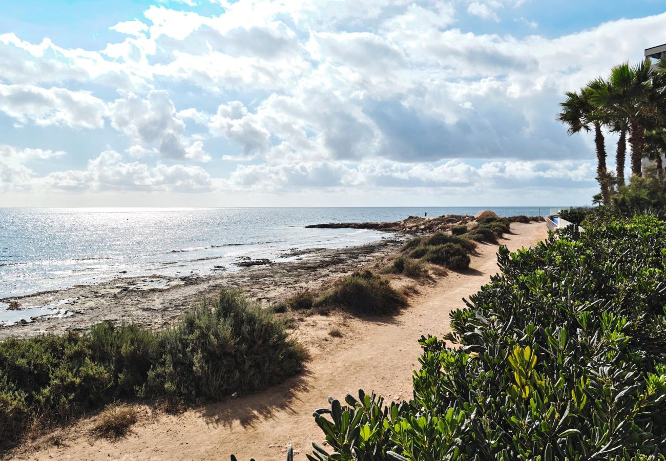 Apartamento en Torrevieja - Jodeko Apartamento en Torrevieja - Jodeko