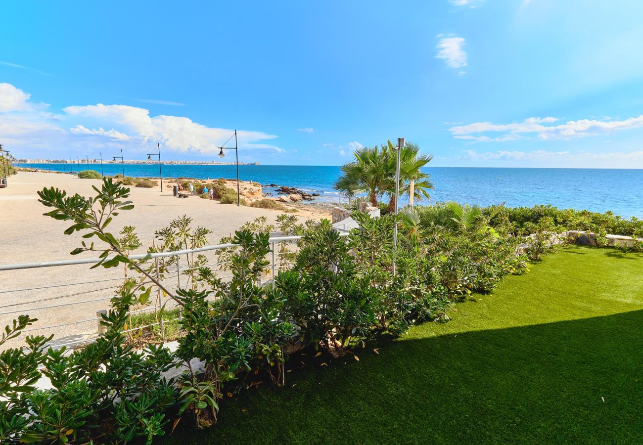 Apartamento en Torrevieja - Jodeko Apartamento en Torrevieja - Jodeko