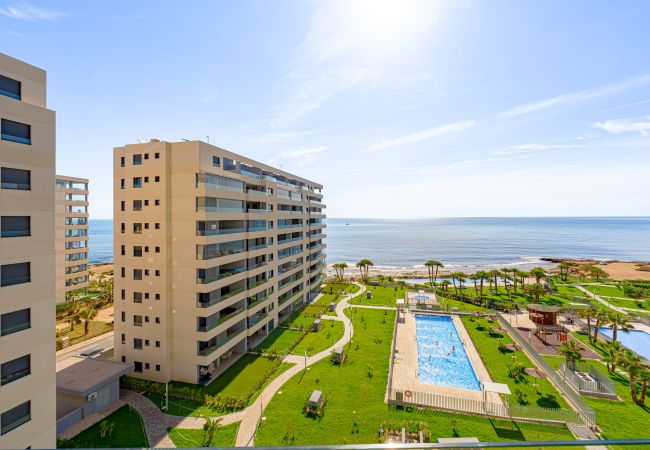 Apartamento en Torrevieja - La Mer-Veille