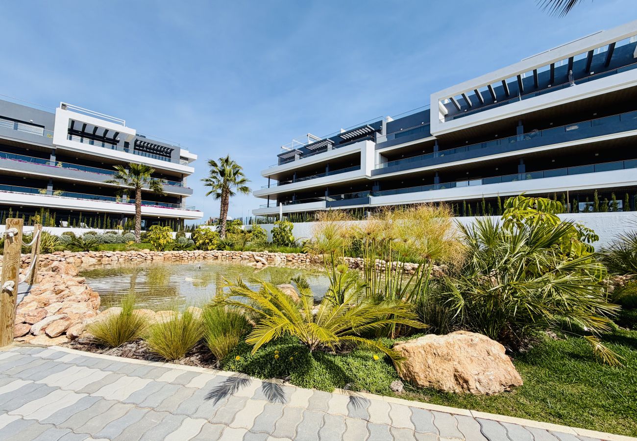 Apartamento en Torrevieja - Laguna Rosa